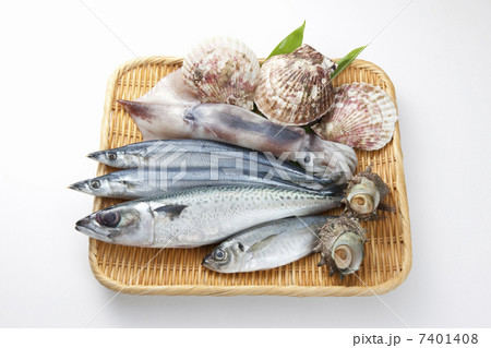 魚介盛り合わせ 7401408