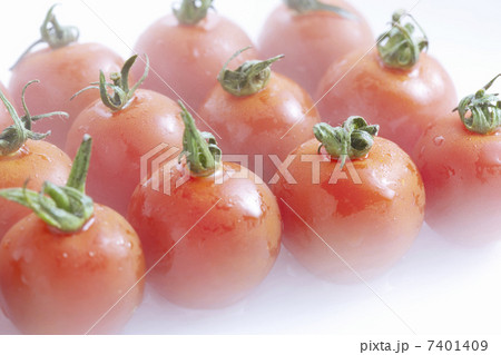 プチトマト 7401409