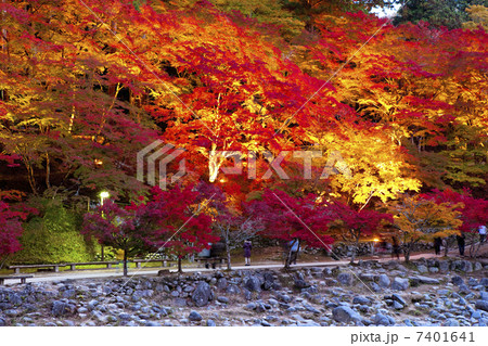 香嵐渓の紅葉 香嵐渓の紅葉 7401641