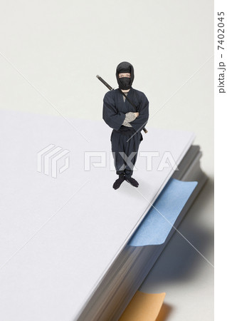 忍者 7402045