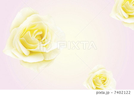 バラの花 7402122