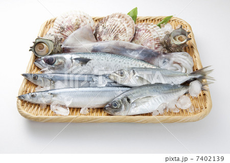 魚介盛り合わせ 7402139
