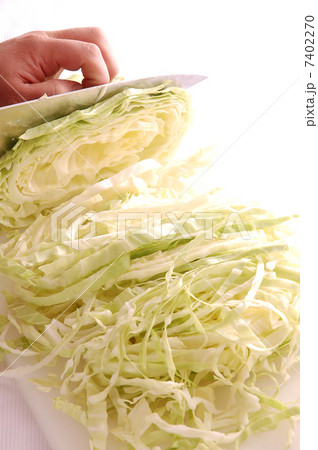 キャベツ 7402270