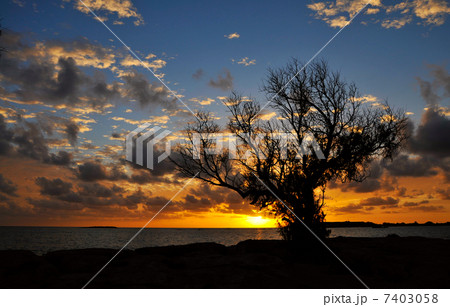 Beautiful sunset 7403058