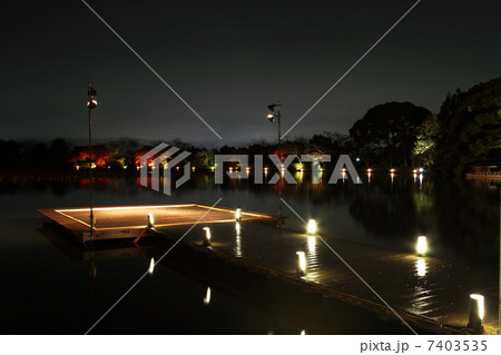 大覚寺 大沢池 紅葉ライトアップの写真素材