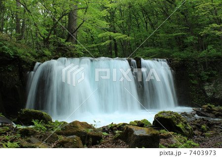 奥入瀬渓流 銚子大滝 奥入瀬渓流 銚子大滝 7403973