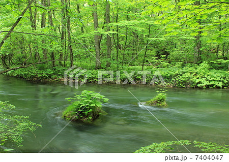 奥入瀬渓流　石ヶ戸の瀬 7404047