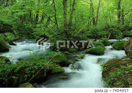 奥入瀬渓流　九十九島 7404057