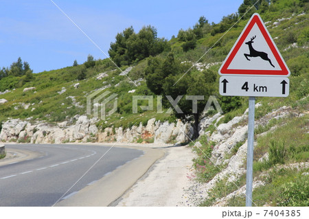 野生動物出没注意　マルセイユ　フランス 7404385