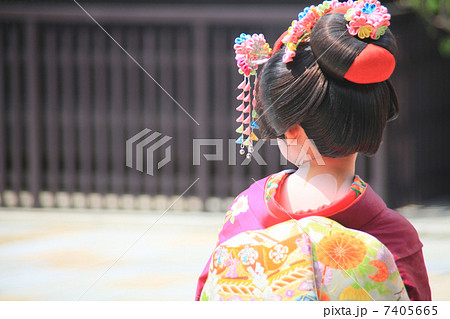 チビ舞妓 チビ舞妓 7405665