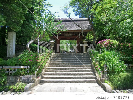 深大寺の山門 深大寺の山門 7405773