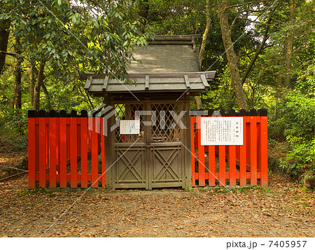 半木神社 7405957