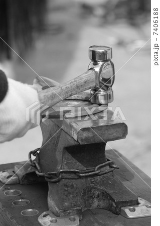 装蹄 装蹄 7406188