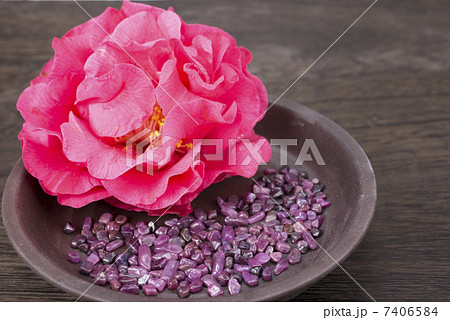皿の中のツバキの花とルビーの原石 皿の中のツバキの花とルビーの原石 7406584