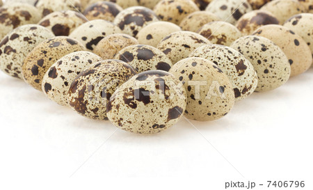 quail egg on white quail egg on white 7406796