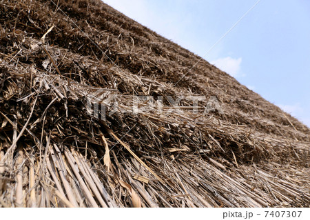茅葺き屋根 茅葺き屋根 7407307