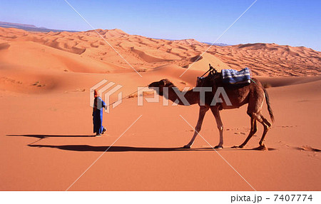 サハラ砂漠 7407774