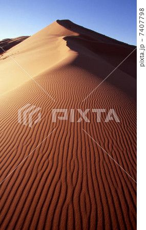 サハラ砂漠 7407798