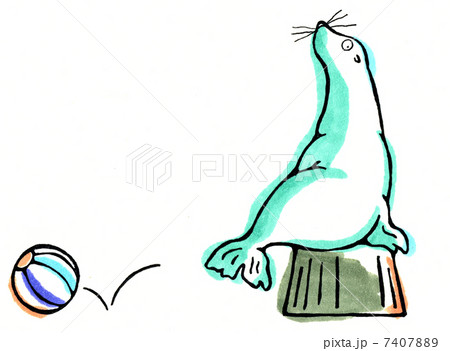 オットセイのイラスト素材