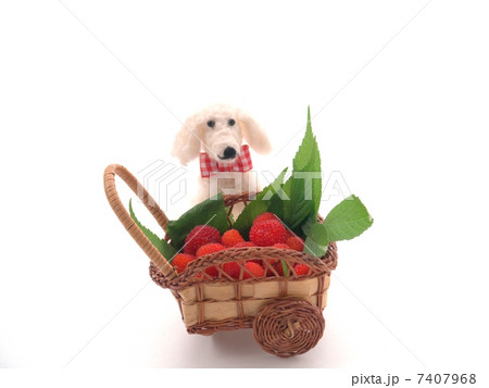 野イチゴ狩り 7407968