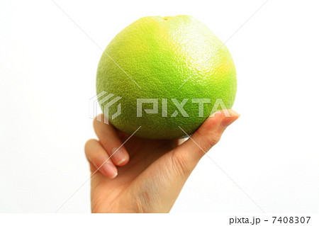 スウィーティーを持つ女性の手 スウィーティーを持つ女性の手 7408307