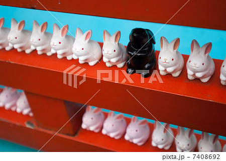 岡崎神社 子授けうさぎのお守りの写真素材 [7408692] - PIXTA