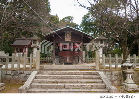 吉田神社　末社　竹中稲荷社 7408837