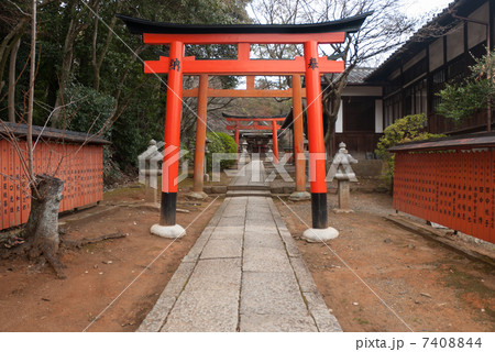 吉田神社　末社　竹中稲荷社 7408844