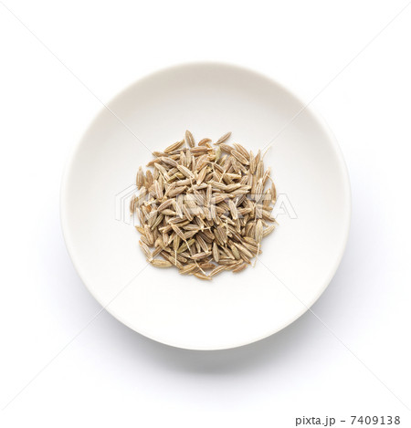 クミン クミン 7409138