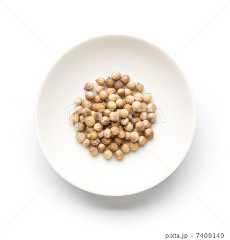 コリアンダー 7409140