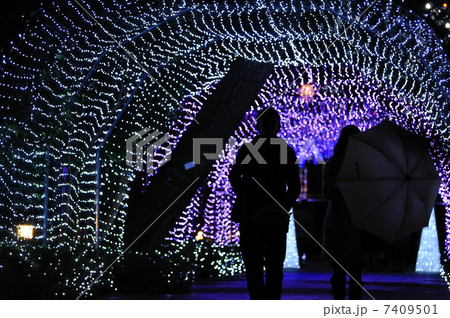 イルミネーション 7409501