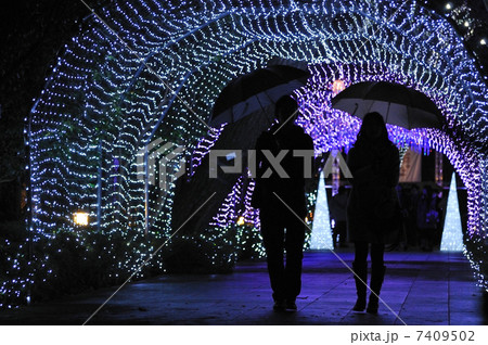 カップル 7409502