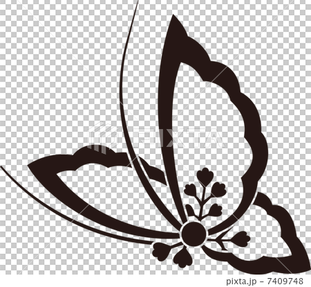 影子paulown蝴蝶蝴蝶 7409748