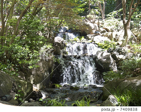 八芳園の日本庭園の滝の写真素材