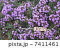 エコ 7411461