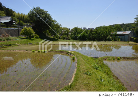 東京の田舎　八王子市 7411497