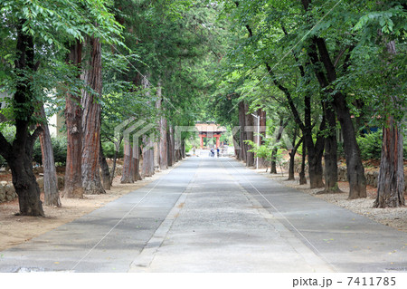 恵林寺・参道 7411785
