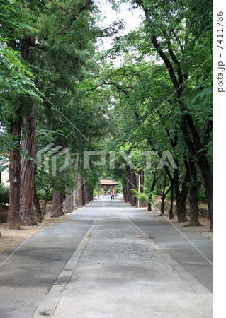 恵林寺・参道 恵林寺・参道 7411786