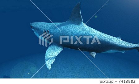 サメのイラスト素材