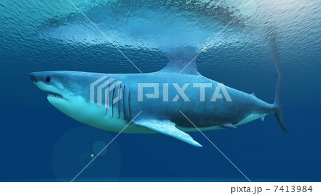 サメのイラスト素材