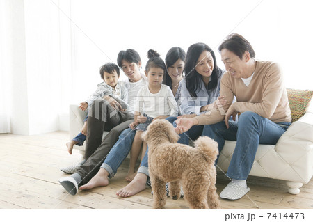 ソファーに座る3世代家族と犬 ソファーに座る3世代家族と犬 7414473
