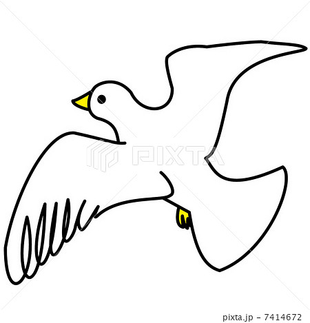 綺麗な白い鳥 イラスト かわいい動物画像