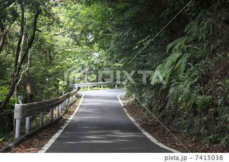 西部林道 西部林道 7415036