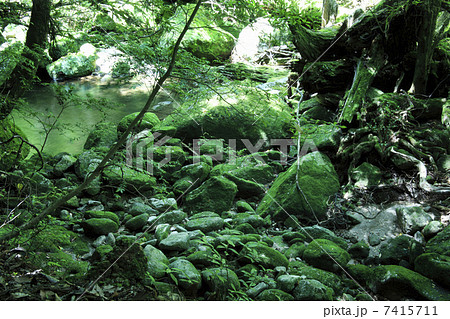 水の流れ 7415711