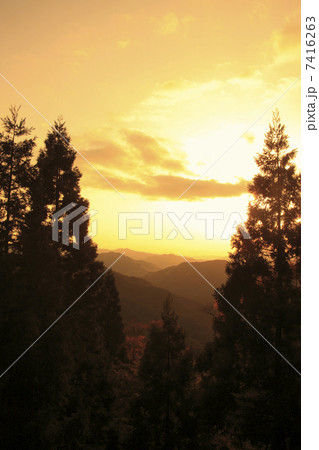 高野山の山並みと高野杉 高野山の山並みと高野杉 7416263