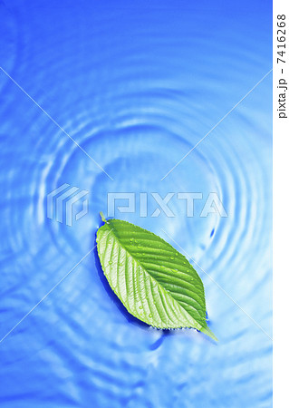 波紋と葉っぱ 7416268