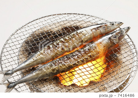 サンマ サンマ 7416486