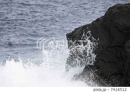 麦生の海 麦生の海 7416512