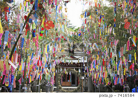 七夕祭り 七夕祭り 7416584