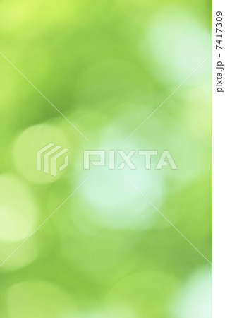 新緑の木漏れ日のボケ 新緑の木漏れ日のボケ 7417309